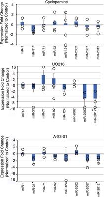 Transcription of microRNAs is regulated by developmental signaling pathways and transcription factors